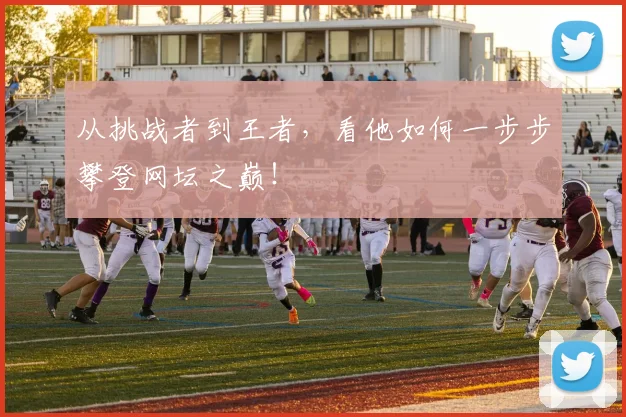从挑战者到王者,看他如何一步步攀登网坛之巅!