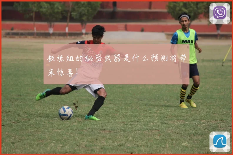 教练组的秘密武器是什么预测将带来惊喜！