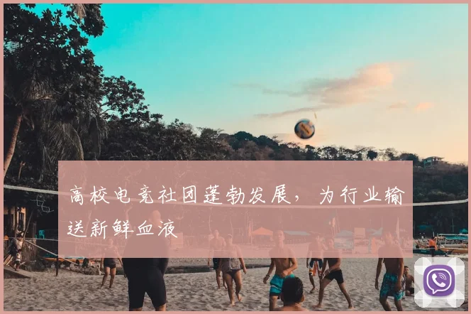 高校电竞社团蓬勃发展，为行业输送新鲜血液